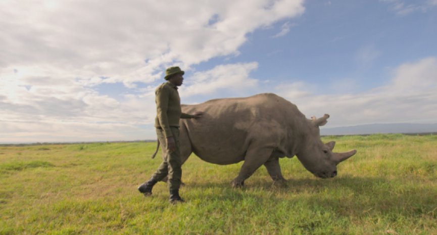 BBC Earth《地球生态季》掀起现代绿色革命！《灭绝的真相》揭100万濒危物种